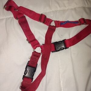 Easy walk harness